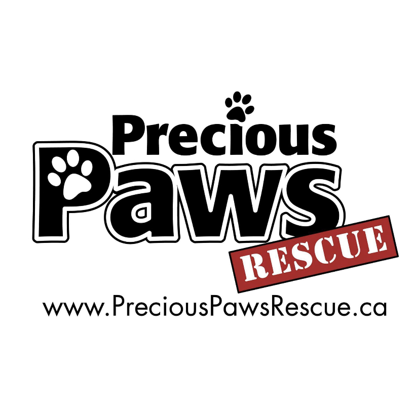 Precious Paws Rescue spring 2021